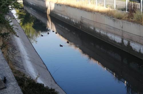 Eskişehir'de sulama kanalları susuz ve yosunla doldu
