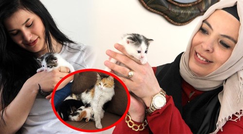 Eskişehir'de süt annesi kedi hayrete düşürdü!