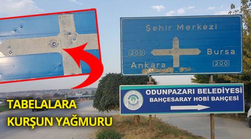 Eskişehir'de tabelalara kurşun yağmuru