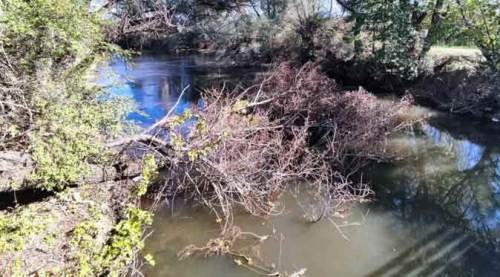 Eskişehir'de tam 2 aydır bu halde bekliyor...