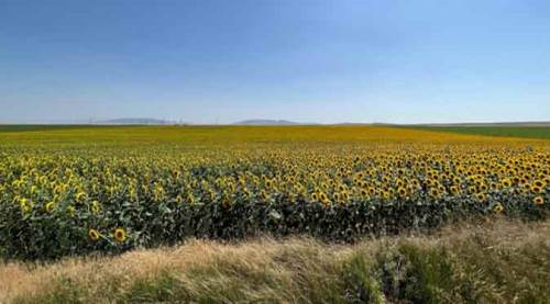 Eskişehir'de tam Instagramlık fotoğraf çektirebileceğiniz nokta!