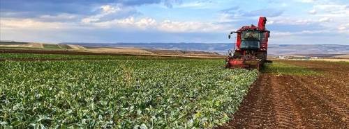 Eskişehir’de tarım alarm veriyor: Çiftçi kazanamıyor!