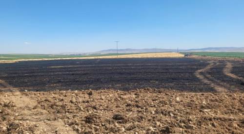 Eskişehir'de tarım arazisinde yangın: Alevler bir anda yayıldı