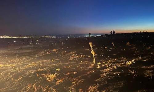 Eskişehir'de tarım arazisinde yangın paniği!