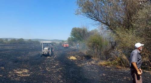 Eskişehir'de tarla yangını ormana sıçramadan söndürüldü