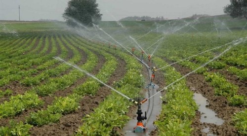 Eskişehir'de tarladan sulama malzemelerini çaldılar