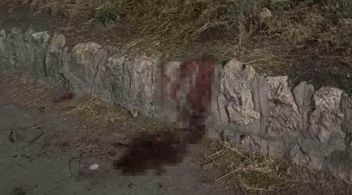Eskişehir’de tartışma kanlı bitti: 17 yaşındaki genç hastanelik oldu
