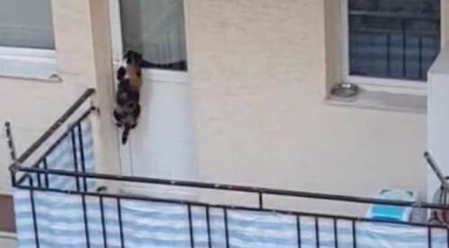 Eskişehir'de tartışma yaratan görüntü: Polis harekete geçti