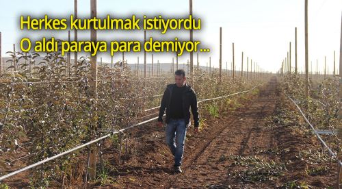 Eskişehir'de taşlı tarladan servet kazandı