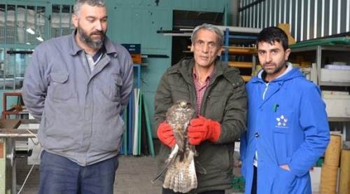 Eskişehir'de tedavi altına alındı