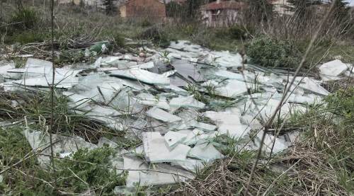  Eskişehir'de tedirgin eden görüntü
