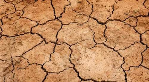 Eskişehir'de tehlike çanları çalıyor