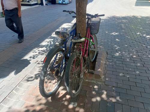 Eskişehir'de tepki çeken görüntüler: Ağaçlar park yeri olarak kullanılıyor!