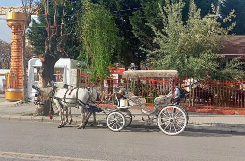 Eskişehir'de tepki çeken manzara: Yakışmıyor!