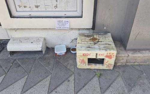 Eskişehir’de tepki notu: Hayvanların su kabını atan zındıktır!