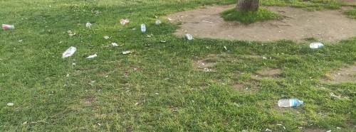 Eskişehir'de tepkilerin odağındaki yeşil alan