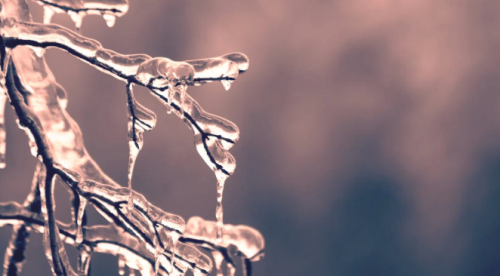 Eskişehir’de termometreler düşüyor: Kar ve don uyarısı!