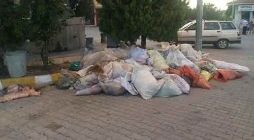 Eskişehir'de THK kurban derilerini ortada bıraktı