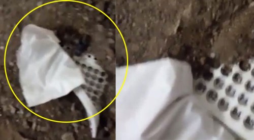 Eskişehir'de topraktan çıktı!