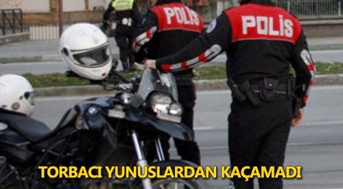 Eskişehir'de torbacı yunuslardan kaçamadı