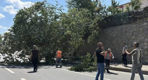 Eskişehir'de trafik bir anda durdu! Devrilen ağaç paniğe neden oldu
