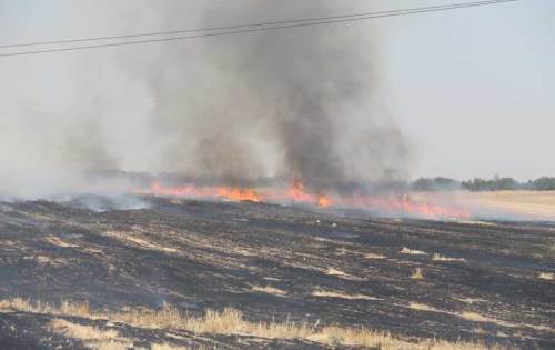 Eskişehir'de trafodan çıkan yangın 50 dönüm araziyi kül etti
