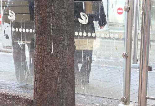 Eskişehir’de tramvay durakları kirlilikle dikkat çekiyor