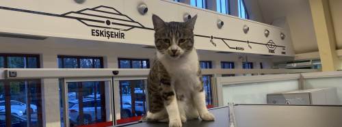 Eskişehir’de tren beklemek artık daha keyifli!