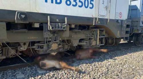 Eskişehir'de tren kazası: Sürünün arasına daldı!