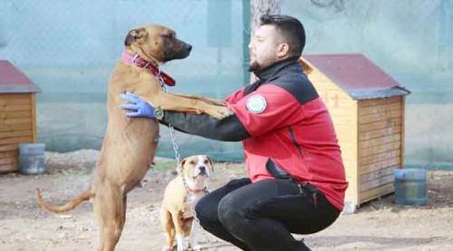 Eskişehir'de troll savaşları