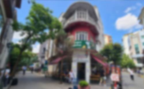 Eskişehir'de turistlerin sevdiği binanın en büyük sorunu...