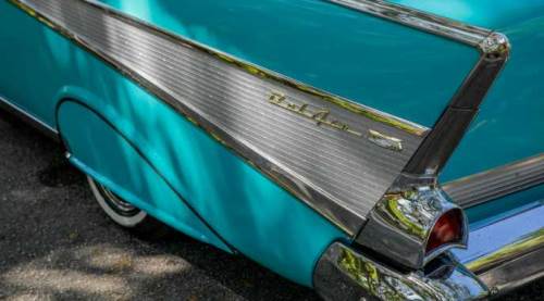 Eskişehir’de tutkusu işi oldu!