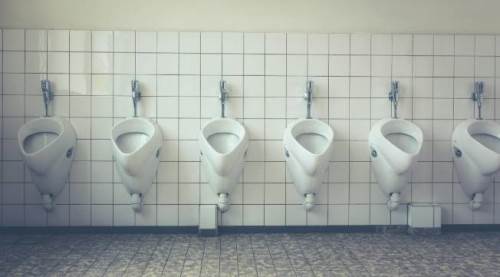 Eskişehir'de tuvalette aklına gelen fikir sayesinde para kazanıyor!