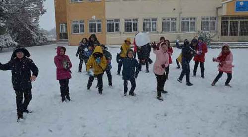 Eskişehir'de üç ilçede kar tatili