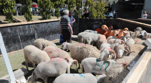 Eskişehir'de ücretsiz kurban kesim yerinden vatandaşlar memnun kaldı