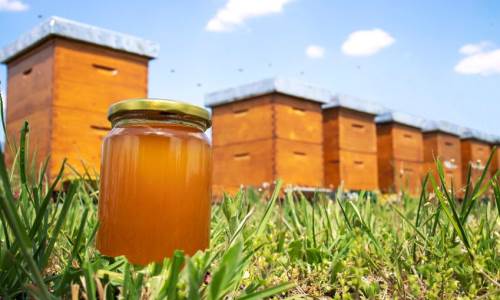 Eskişehir'de üretildi, Türkiye'de birinci oldu!