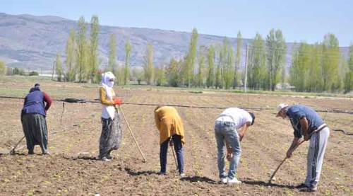 Eskişehir'de üretim hız kesmeden devam ediyor!