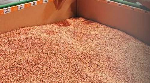 Eskişehir'de üretim patlama yaşıyor: 6 yılda 20 kat artış!