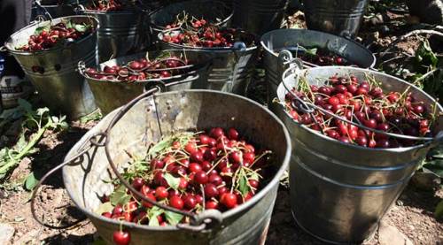 Eskişehir'de ürünler depolara sığmıyor!