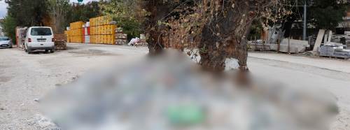 Eskişehir'de utanç veren görüntüler tepki çekiyor!