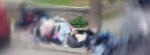 Eskişehir'de utandıran manzara: Çöp gibi atıldı...