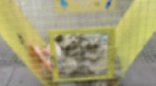 Eskişehir'de uyarı yazısına rağmen bu duyarsızlık pes dedirtti