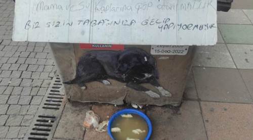 Eskişehir'de uyarıyı görseler de...