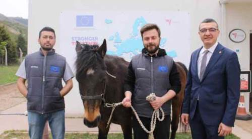 Eskişehir'de uygulanan tedavi Türkiye'de giderek popüler oluyor
