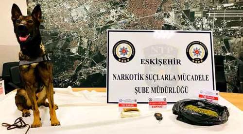 Eskişehir'de uyuşturucu operasyonu düzenlendi