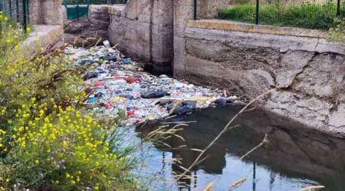 Eskişehir'de üzen manzara! Sulama kanalı bakın ne hale geldi...