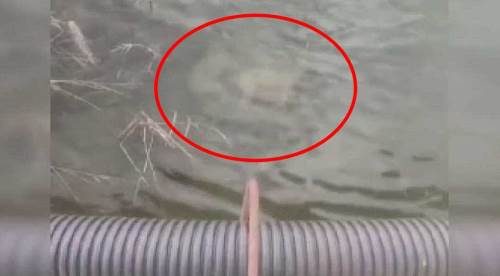 Eskişehir'de vahşet: Derede ölü bulundular!