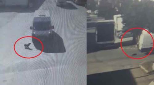 Eskişehir'de vahşetin sonu gelmiyor! Aracıyla ezdi, hiçbir şey olmamış gibi gitti