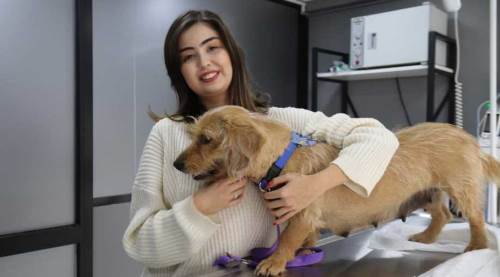 Eskişehir'de vahşi saldırı: 12 yerinden vurulmuştu...