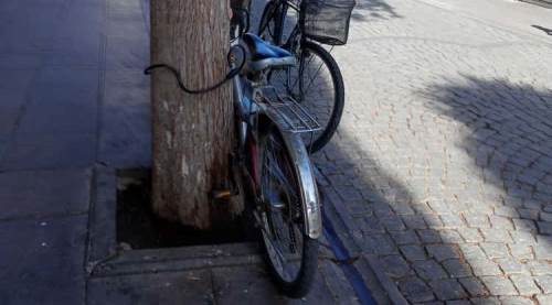 Eskişehir’de vatandaşı bezdiren alışkanlık bitmek bilmiyor!